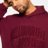 Chenille-Logo-Hoodie Chenille-Logo-Hoodie