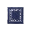 Flying B Paisley-Bandana