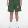 Satellite-Shorts