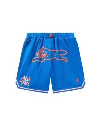 Team IC Running Dog Basketball-Shorts