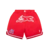 Team IC Running Dog Basketball-Shorts