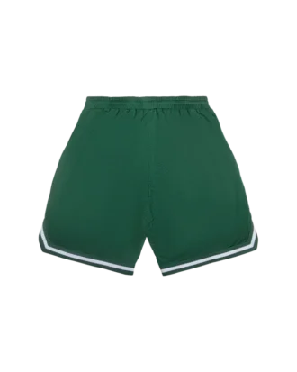 Team IC Running Dog Basketball-Shorts