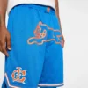 Team IC Running Dog Basketball-Shorts Team IC Running Dog Basketball-Shorts